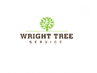 Wright Tree Service