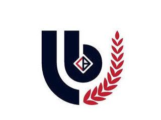 Linkbuffer Studios Digital & Ai Marketing Agency, Web Design