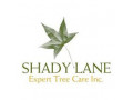 shady-lane-expert-tree-care-small-0
