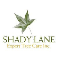 shady-lane-expert-tree-care-big-0