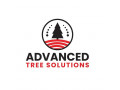 advanced-tree-solutions-small-0