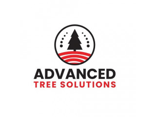Advanced Tree Solutions