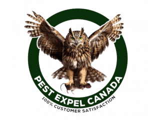 Pest Control New Market: Reliable Protection for Your Property